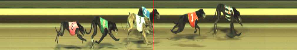 Photo finish for Warragul Race 8