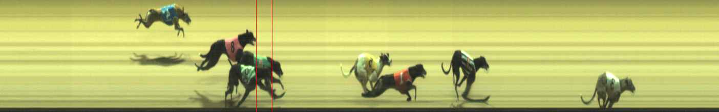 Photo finish for Warragul Race 9