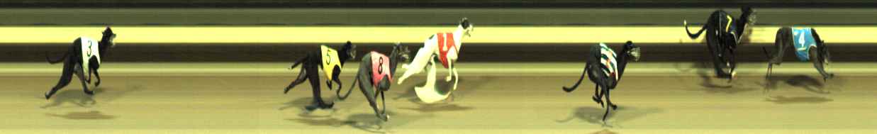 Photo finish for Warragul Race 11