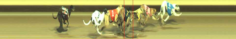 Photo finish for Warragul Race 12