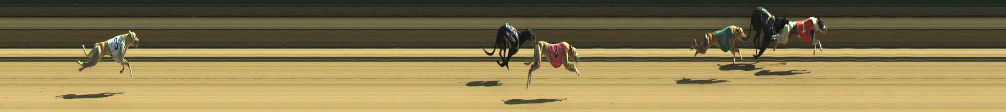 Photo finish for Warragul Race 10