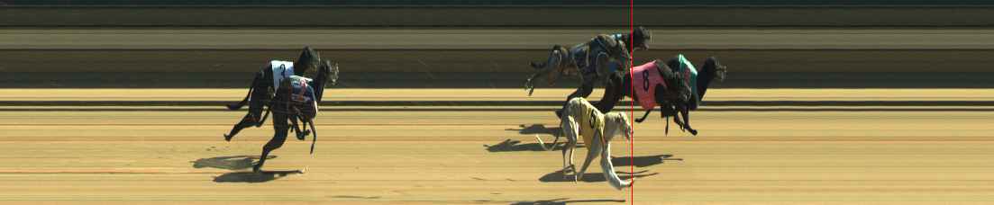 Photo finish for Warragul Race 11