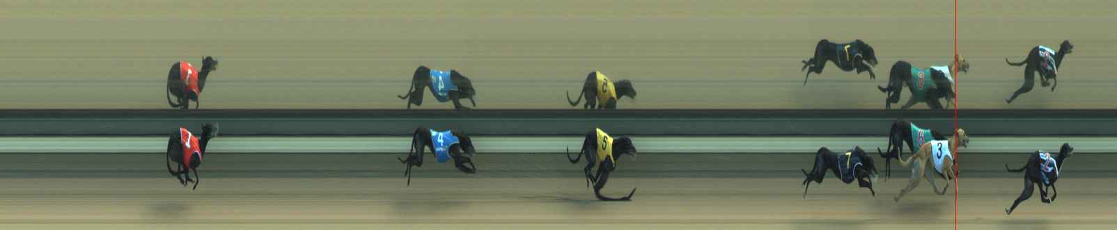 Photo finish for Warragul Race 12