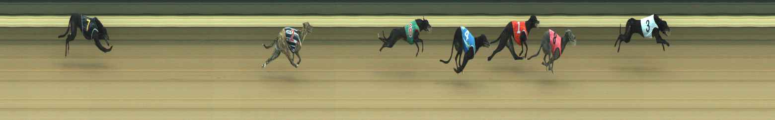 Photo finish for Warragul Race 9