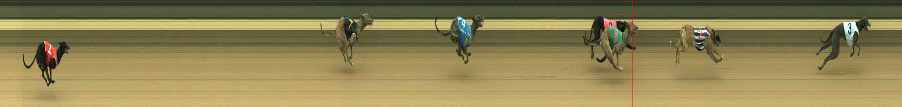 Photo finish for Warragul Race 2