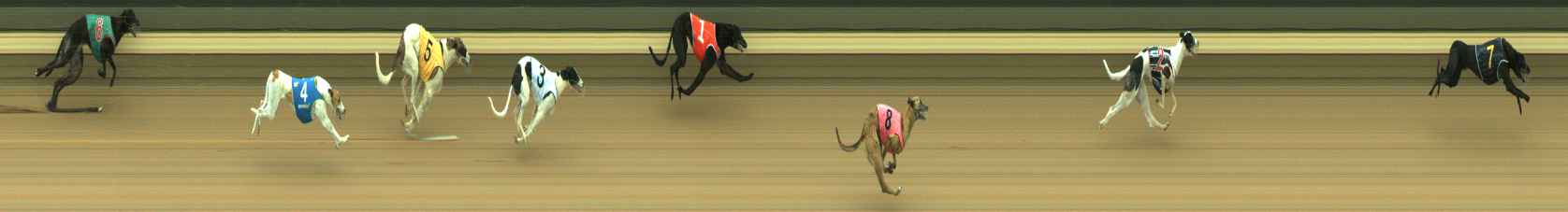 Photo finish for Warragul Race 3