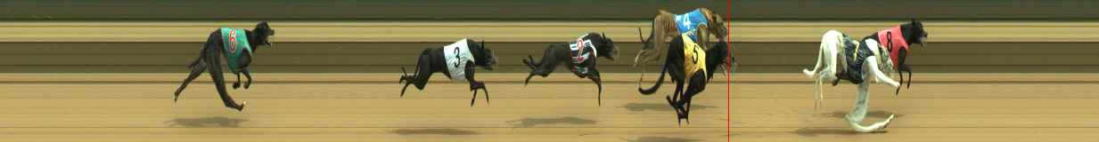 Photo finish for Warragul Race 4
