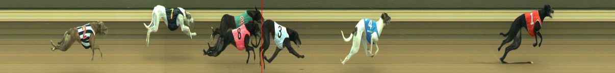 Photo finish for Warragul Race 5