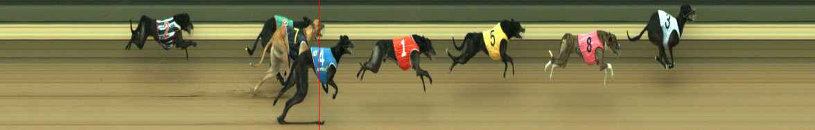 Photo finish for Warragul Race 9