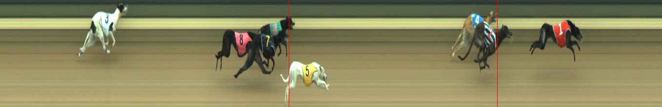 Photo finish for Warragul Race 11