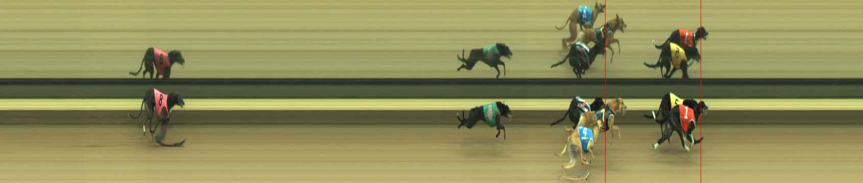 Photo finish for Warragul Race 12