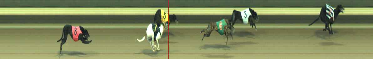 Photo finish for Warragul Race 5