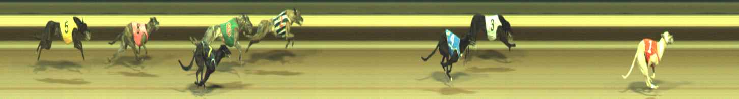 Photo finish for Warragul Race 9