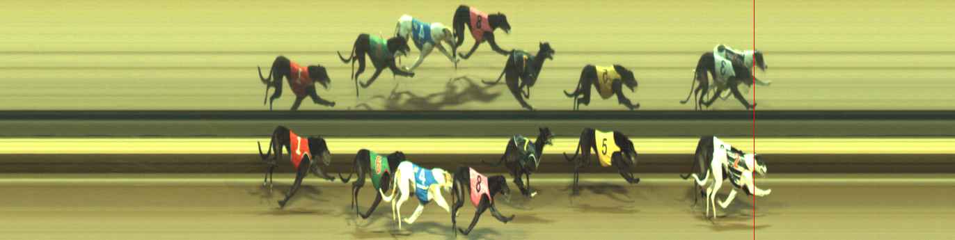 Photo finish for Warragul Race 10