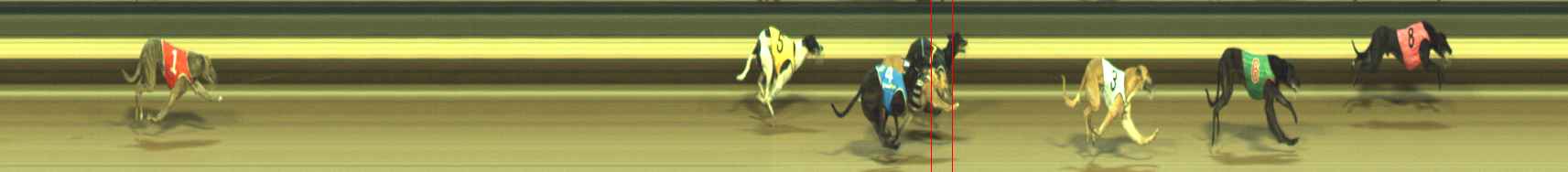 Photo finish for Warragul Race 11
