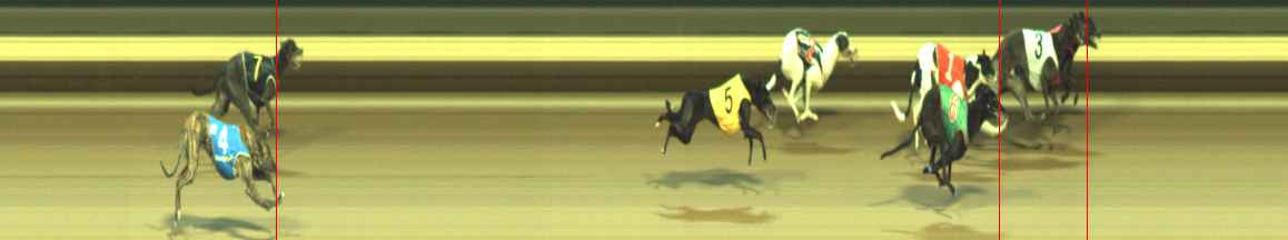 Photo finish for Warragul Race 12