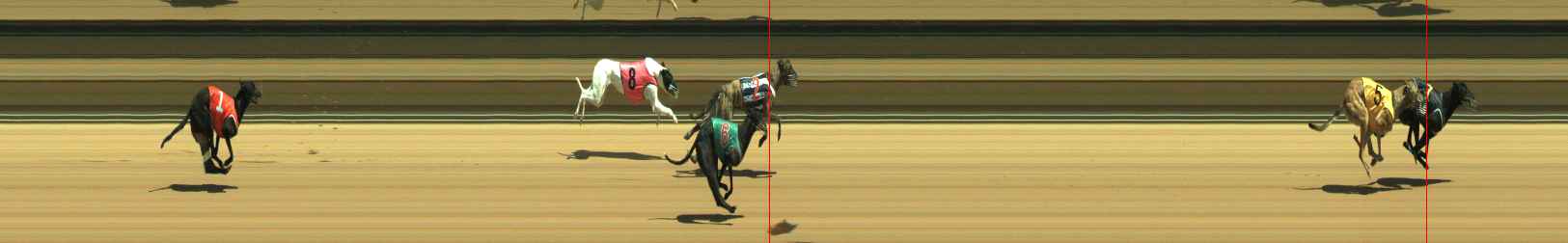 Photo finish for Warragul Race 2