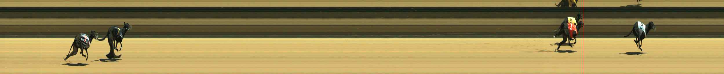 Photo finish for Warragul Race 3