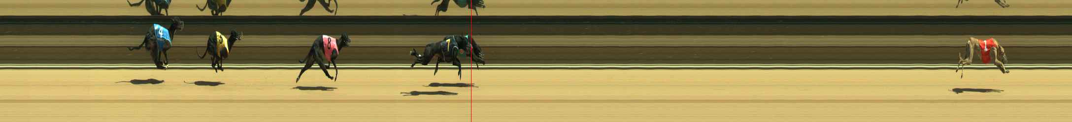 Photo finish for Warragul Race 4