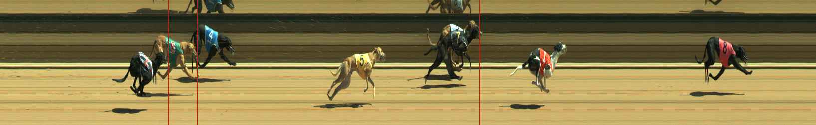 Photo finish for Warragul Race 5