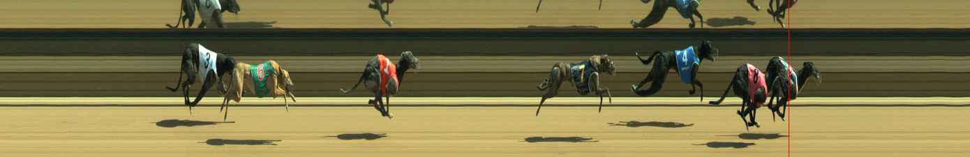 Photo finish for Warragul Race 6