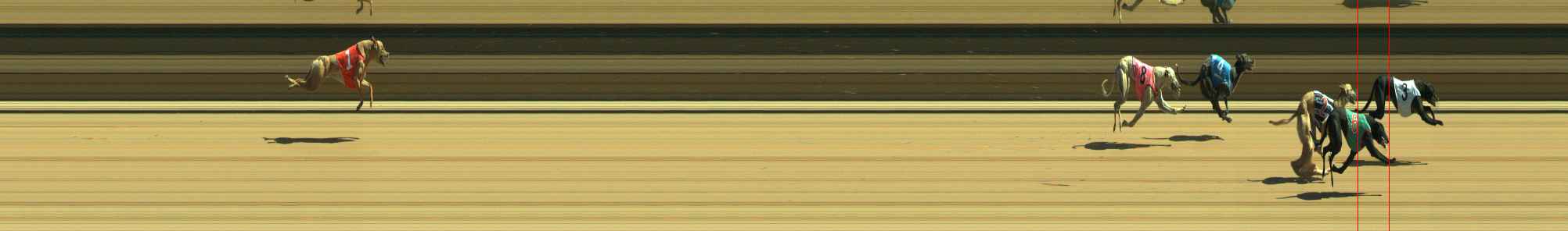 Photo finish for Warragul Race 7