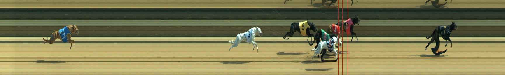 Photo finish for Warragul Race 8