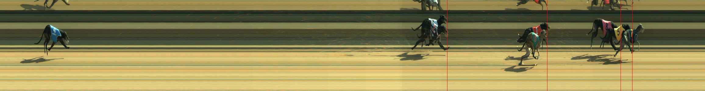 Photo finish for Warragul Race 11