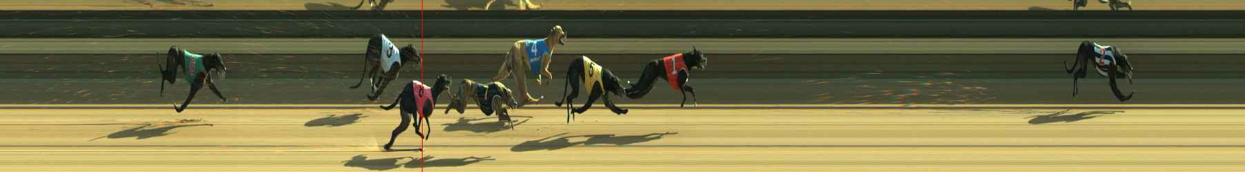 Photo finish for Warragul Race 12