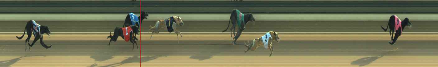 Photo finish for Warragul Race 2