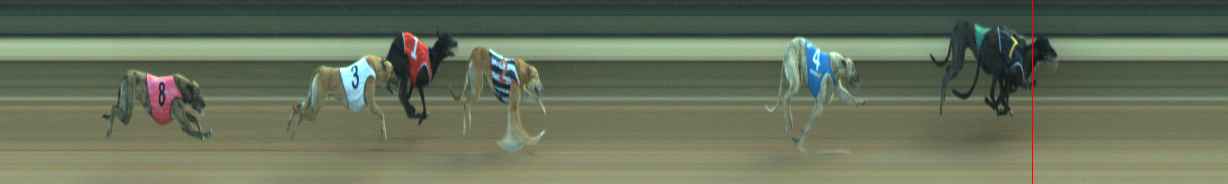 Photo finish for Warragul Race 3
