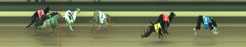 Photo finish for Warragul Race 4