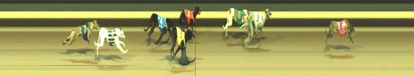 Photo finish for Warragul Race 6