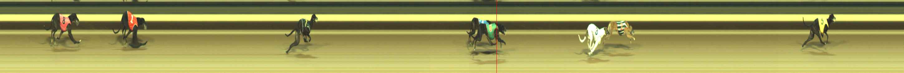 Photo finish for Warragul Race 8