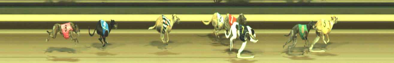 Photo finish for Warragul Race 11