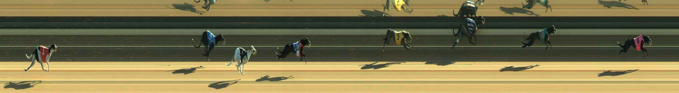 Race result finish photo