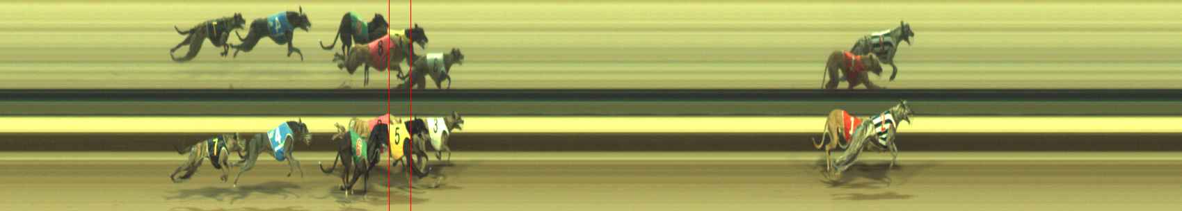 Photo finish for Warragul Race 10