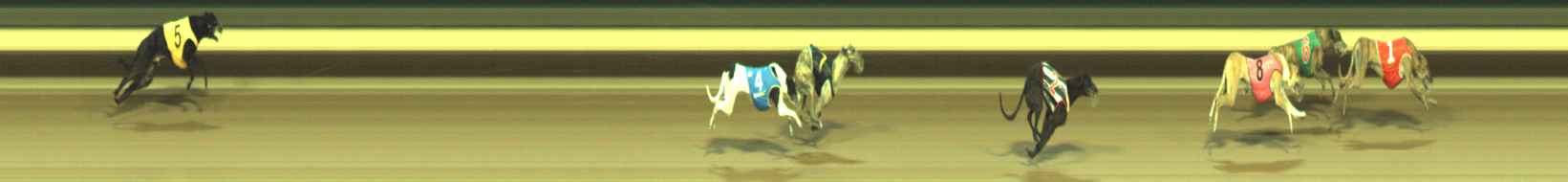 Photo finish for Warragul Race 11