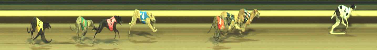 Photo finish for Warragul Race 12