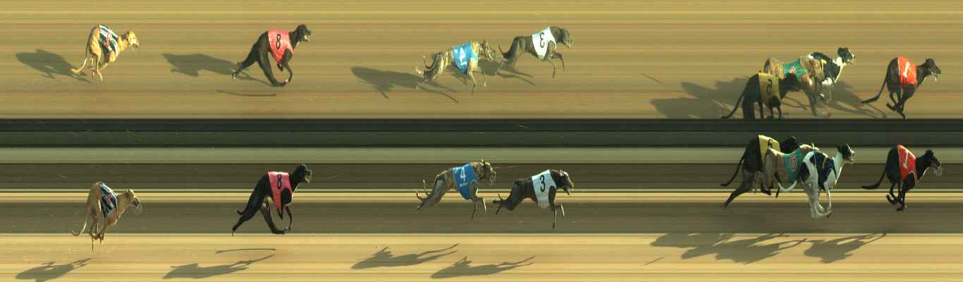 Photo finish for Warragul Race 2