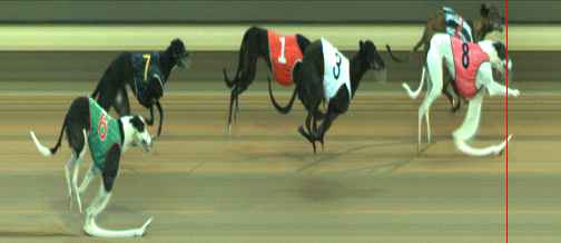 Photo finish for Warragul Race 4
