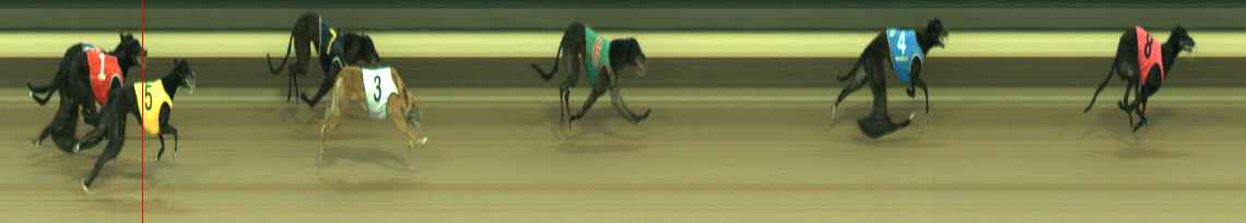 Photo finish for Warragul Race 5
