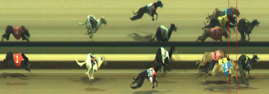 Photo finish for Warragul Race 6
