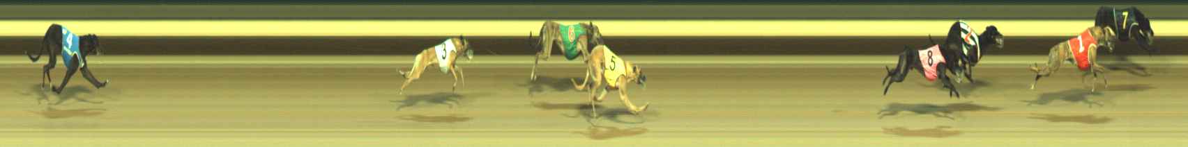 Photo finish for Warragul Race 7