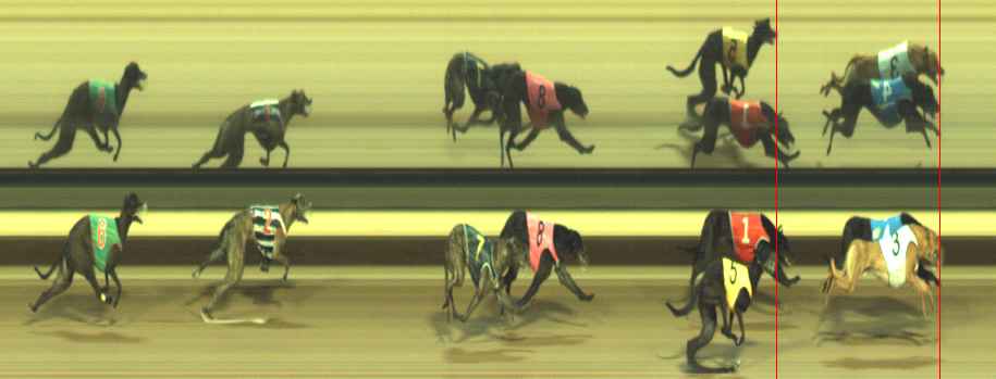 Photo finish for Warragul Race 8