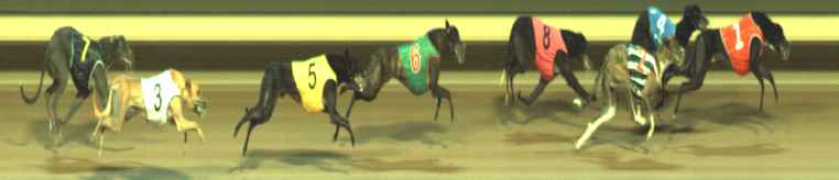 Photo finish for Warragul Race 9