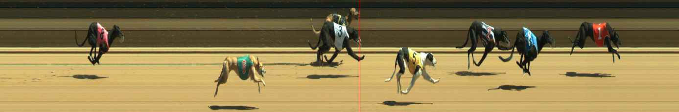 Photo finish for Warragul Race 5