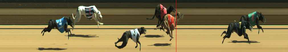 Photo finish for Warragul Race 6