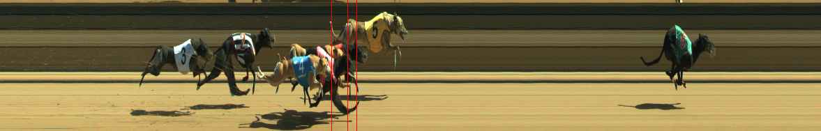 Photo finish for Warragul Race 7
