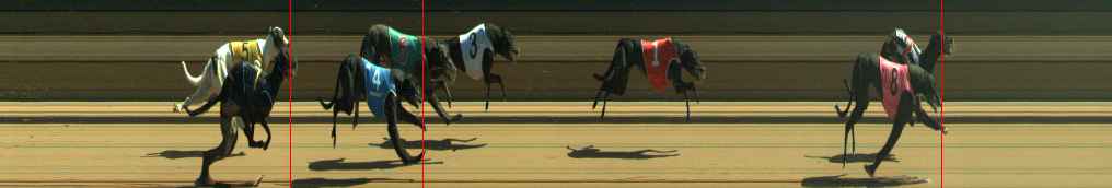 Photo finish for Warragul Race 8